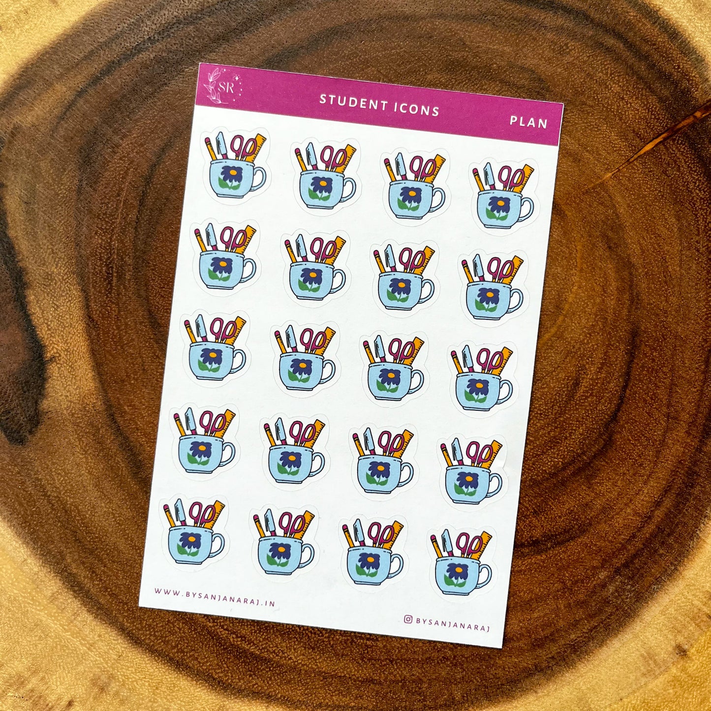 Student Icons | Plan - Singles | Planner Stickers | By Sanjana Raj